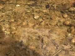 -梅岭月亮湾山体公园
