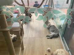 -牛喵喵铜锅牛肉馆