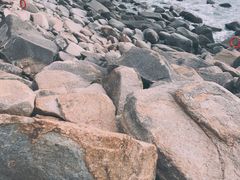-广东惠东海龟国家级自然保护区
