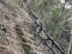 -梧桐山风景名胜区