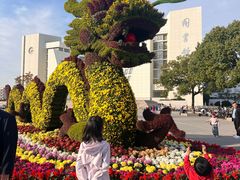 -上海大学(宝山校区)