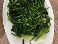 -一撮毛美食城(全力一路店)