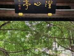 -西湖公园(鼓楼区)