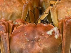 螃蟹-洪泽老鱼馆(淮海一店)