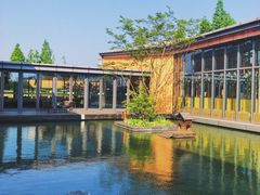 -田园东方蜜桃村的田野营地