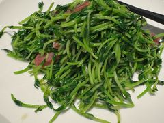 鸡油腊味炒豆苗-潮界(虹桥新天地店)