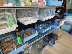 -狗不理喵子(百富路店)