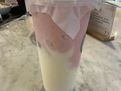 -宝珠奶酪(浦东金桥店)