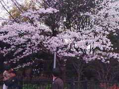 -上海体育场(地铁站)
