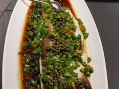 清蒸鲑鱼-望乡楼上海菜(日月光店)