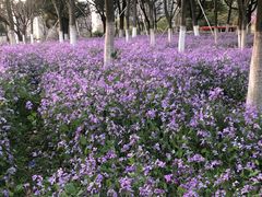 -白塘生态植物园