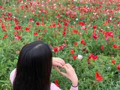 -祥源·阜阳生态乐园