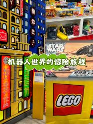 -乐高品牌旗舰店(人民广场店)