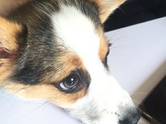 -FullHouse桌游跑团血染剧本杀(南京西路店)