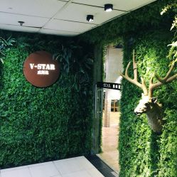 点击看大图 -V-STAR威斯达•高级私人定制