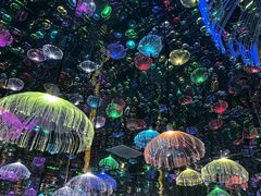 -深圳独角兽星空艺术馆