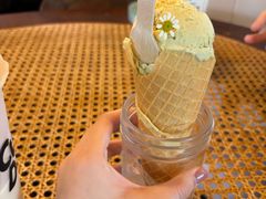 -野草莓自由市场
