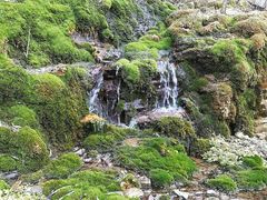 -沕沕水生态风景区