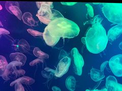 -成都浩海立方海洋公园