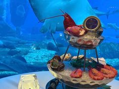 -亚特兰蒂斯•OSSIANO奥西亚诺海底餐厅