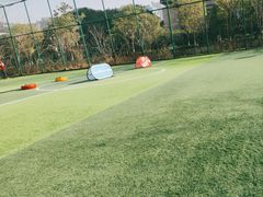 -黄龙笼式足球场