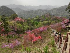 -岳西天峡风景区