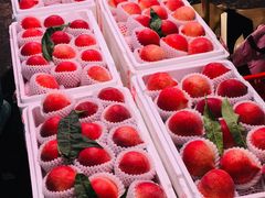 -菜园坝水果市场
