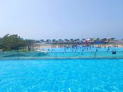 -秦皇岛乐岛海洋王国