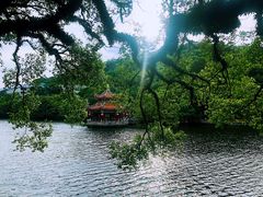 -潮镇老尾牛杂(环城西路店)