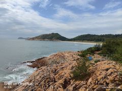 -广东惠东海龟国家级自然保护区