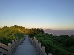 -洋山深水港