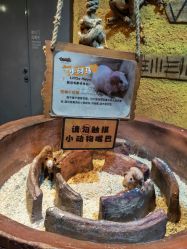 -奇幻萌宠部落(映月湖环宇城店)