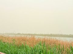 -绿堤公园