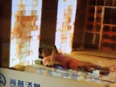 -尚荟汤泉生活馆