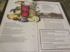 -Long Bar(莱佛士酒店)