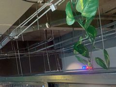 -LikingFit24小时健身•普拉提(张江店)