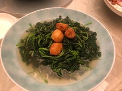 上汤苋菜-东海朗廷酒店-唐阁T’ANG COURT 中餐厅
