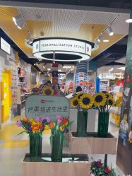 -乐高授权专卖店(西单大悦城店)