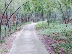 -天花井景区