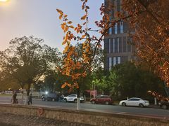 -中医药大学-第2食堂