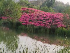 -雅达·阳羡溪山小镇中心
