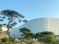 -罗红摄影艺术馆