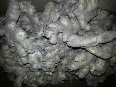 够姜味，客家火姜-合和美食馆