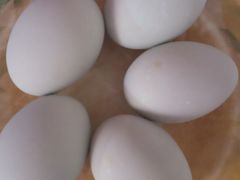 -划得来生活集市(管弄新村一二街坊店)