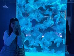 -左海海底世界