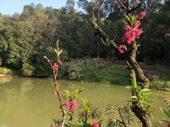 -南国桃园旅游度假区