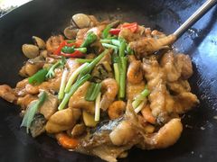 姜葱焖钳鱼-绿华园休闲山庄