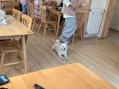 -柴の食堂·日式家庭料理·熊之肆(大学路店)