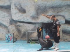 -泉州海丝野生动物世界