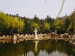 -龙口南山旅游景区